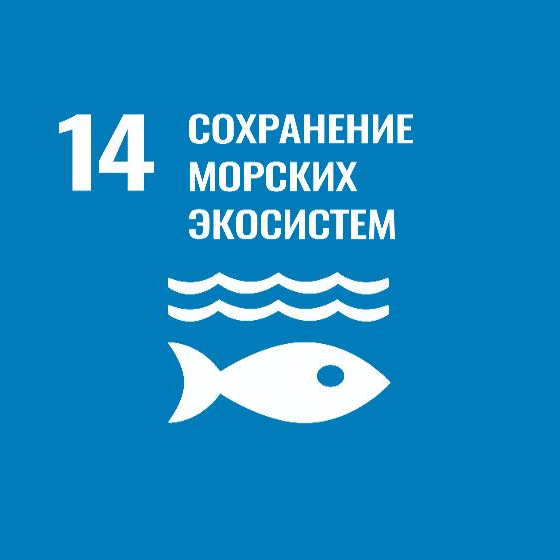 ЦУР № 14 «Сохранение морских экосистем»