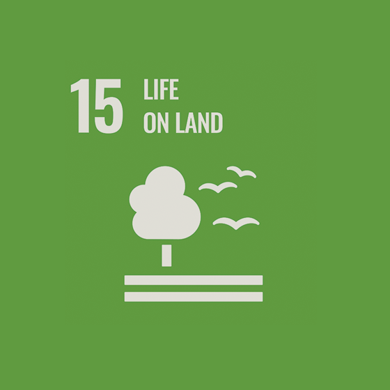 SDG No. 15 “Conservation of terrestrial ecosystems”