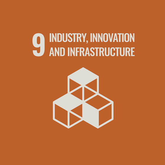 SDG 9 “Industrialization, innovation and infrastructure”