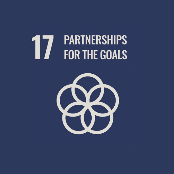SDG 17 “Partnership for sustainable development”