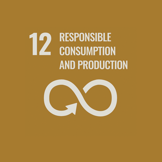 SDG 12 “Responsible consumption and production”