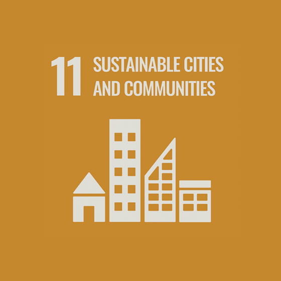 SDG 11 “Sustainable cities and settlements”