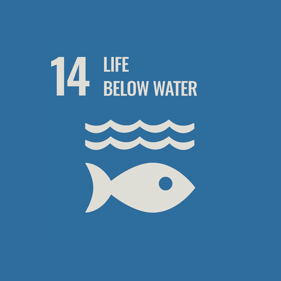 SDG No. 14 “Conservation of offshore ecosystems”